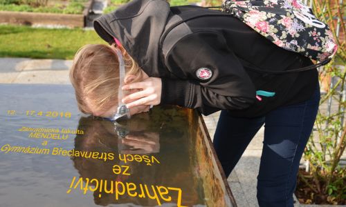 Navázali jsme spolupráci se Zahradnickou fakultou MENDELU v Lednici