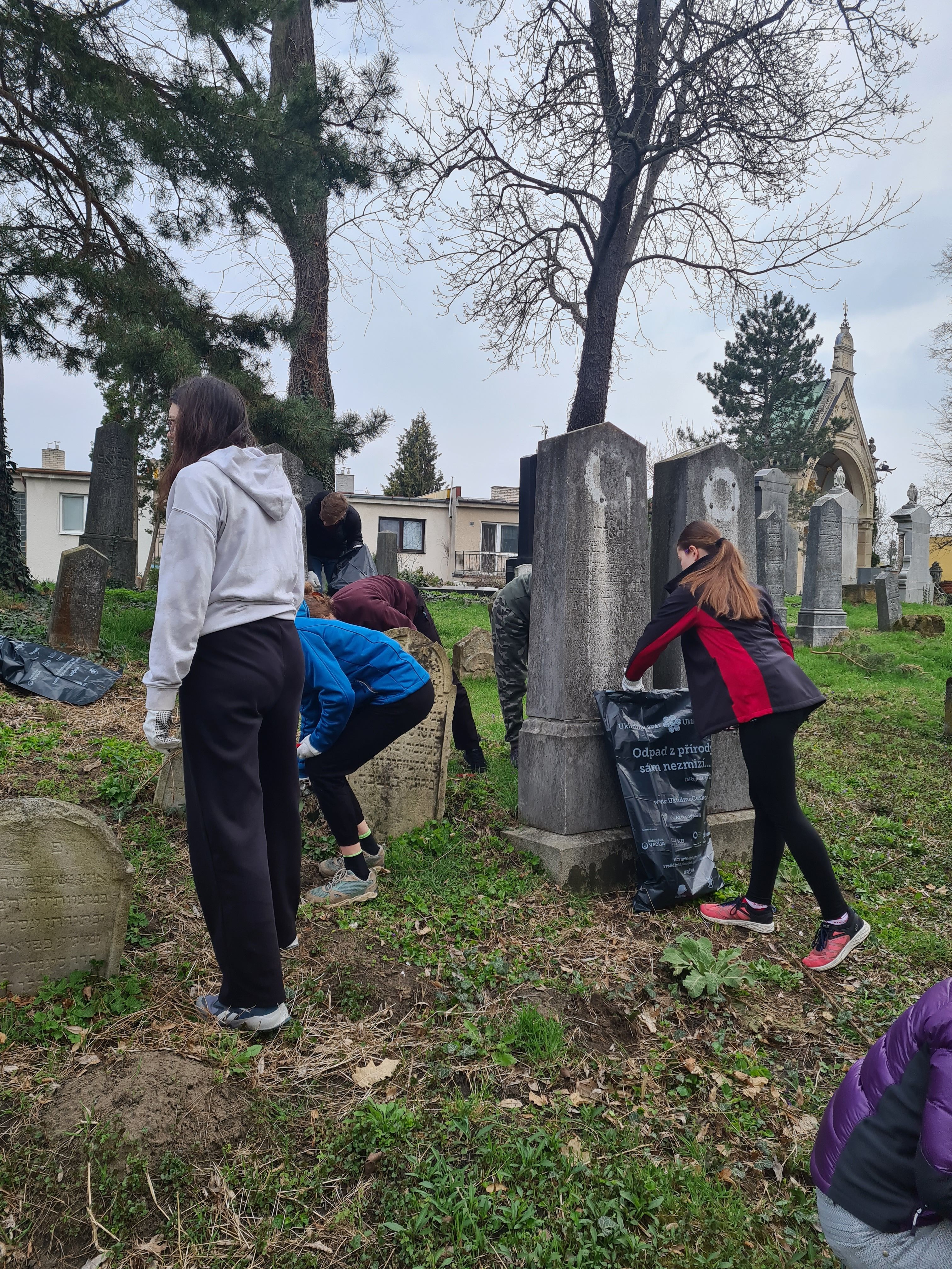 Tercie a velký jarní úklid