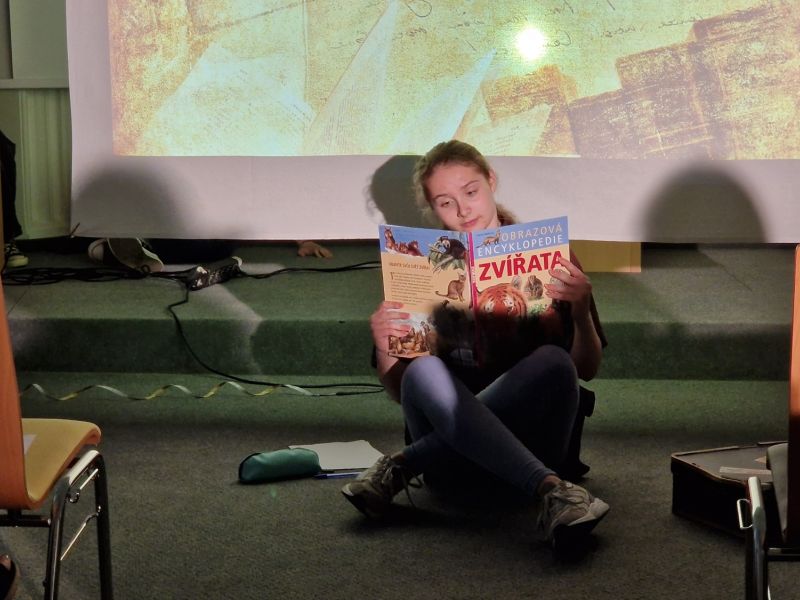 Tercie hrála Malého prince