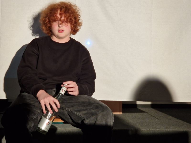 Tercie hrála Malého prince