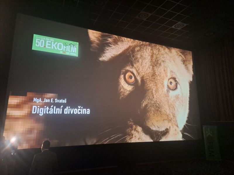 Digitální divočina