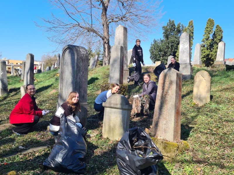 Židovský hřbitov – úprava zeleně