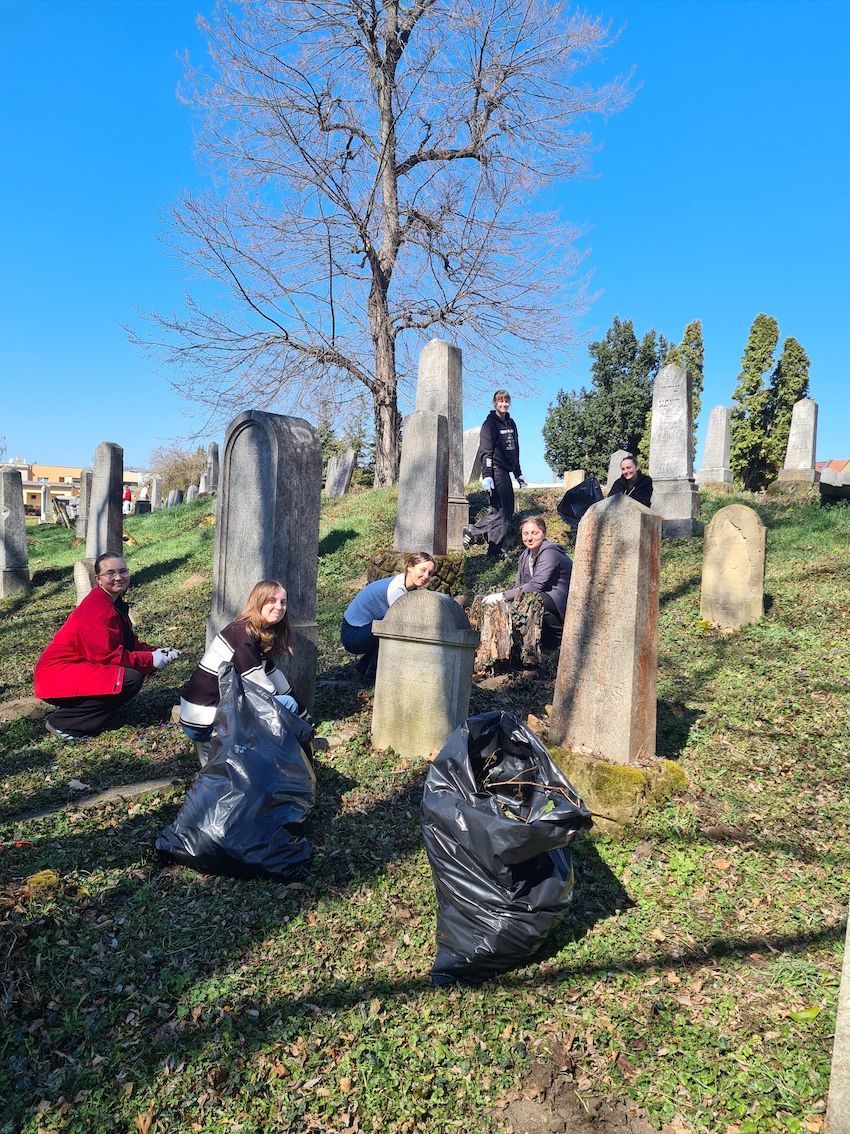 Židovský hřbitov – úprava zeleně