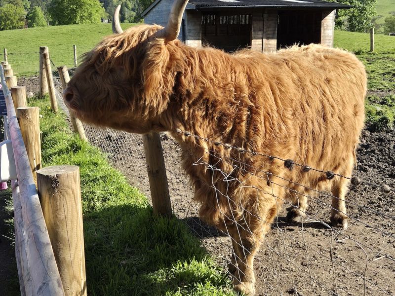 Mé srdce je na Vysočině – část II.