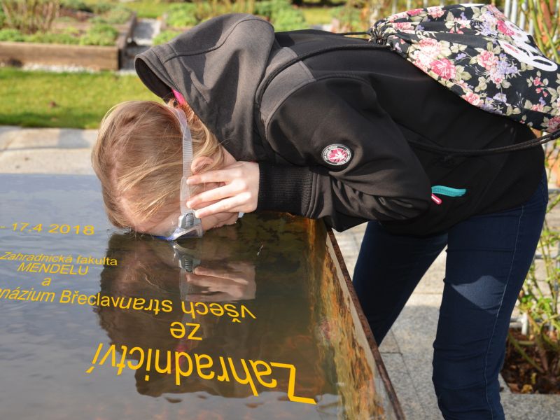 Navázali jsme spolupráci se Zahradnickou fakultou MENDELU v Lednici