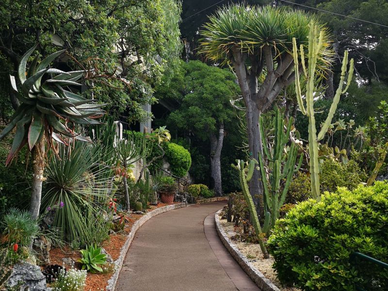 Krásy jižní Francie – na cestě po Azurovém pobřeží