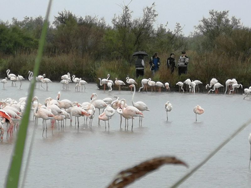 Krásy jižní Francie – na cestě po Azurovém pobřeží