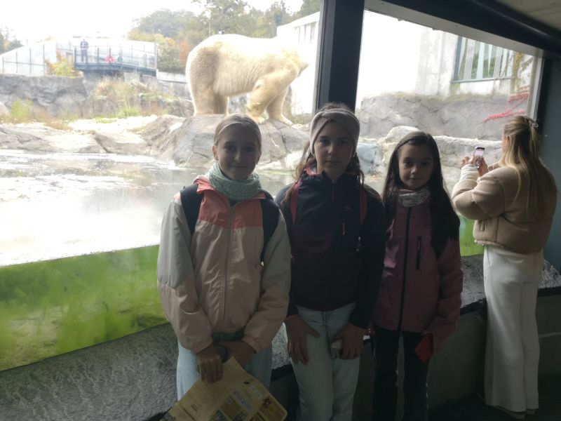 Výlet do Zoo Schönbrunn