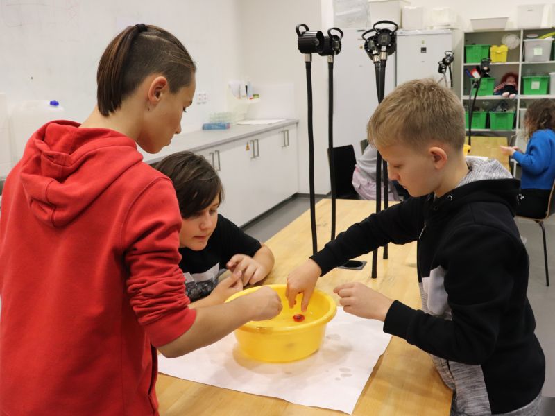 Prima ve VIDA CENTRU