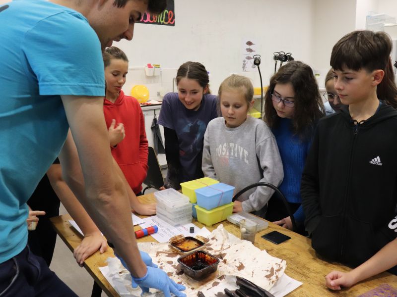 Prima ve VIDA CENTRU