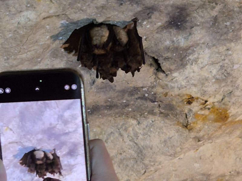 Za uměním a přírodou do Mikulova