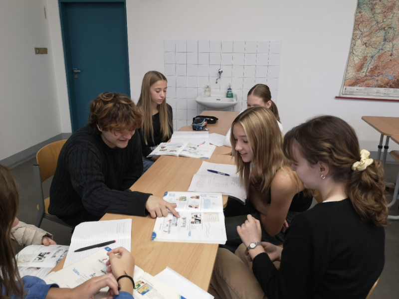 Rodilí mluvčí pomáhají s výukou němčiny