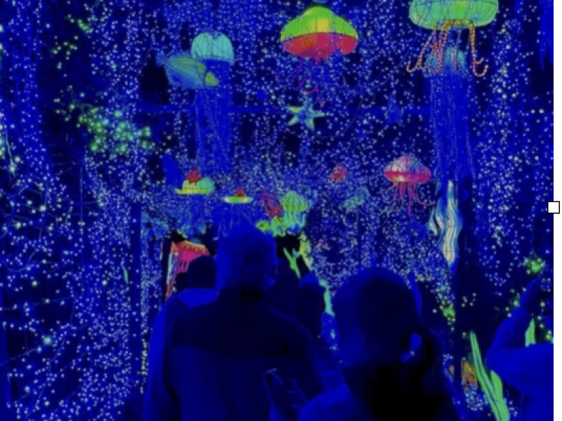 Náš výměnný pobyt aneb Jak bylo ve Francii